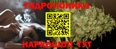 прущие крисы Славянск-на-Кубани