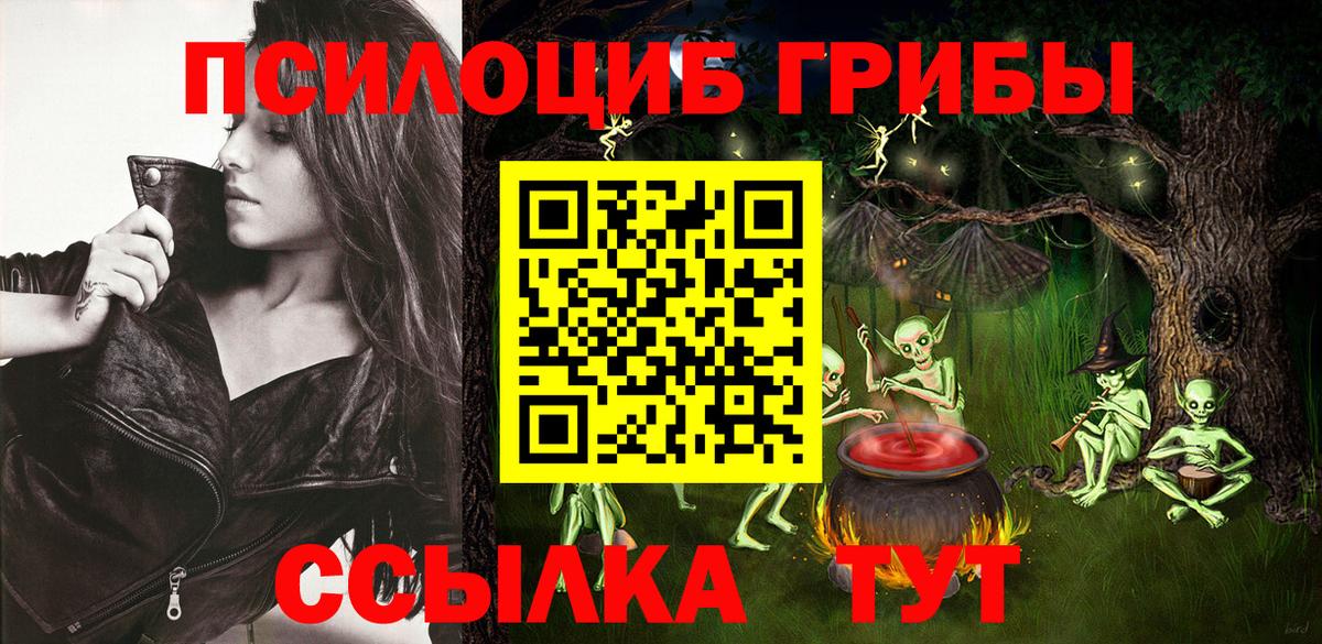 Галлюциногенные грибы Psilocybe Обь