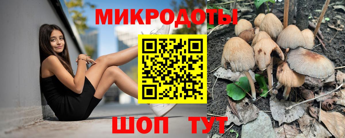 продажа наркотиков  Псилоцибиновые грибы мицелий  Псилоцибиновые грибы Psilocybe  Вход с VPN  Обь 